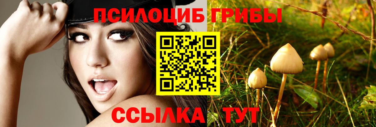 Рыбинск  Псилоцибиновые грибы Psilocybe  Вход с VPN 